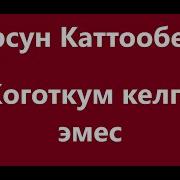 Журсун Каттообеков Жоготкум Келген Эмес Караоке Текст