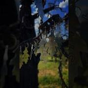 Новый Сезон В Память О Мототане
