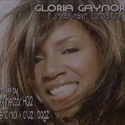 Gloria Gaynor I Never Knew Hq2 Hex Hector Club Mix 8 56 2002