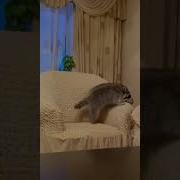 Мама Тоже Думала Что Коля Вырос Хорошим Мальчиком