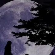 Bir Umir Faqat Sizi Sevaman Deb