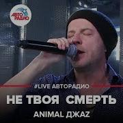 Не Твоя Смерть Animal Джаz