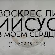 Христианская Детская Песенка Мне Недавно Рассказали О Младенце Неземном Минус