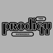 The Prodigy Death Of The Prodigy Dancers Live