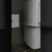 Прилетает Воробей Прикол