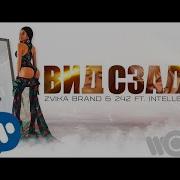 Вид Сзади Feat Intellegent Dance Version Zvika Brand 242 Feat Intellegent