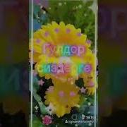 Жаштыкта Ойноп Кулолу Достор