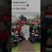 Inshallah Habibi