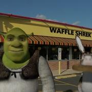 Shreks Day Out