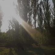 Дехаи Лолаги
