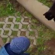 Спроси Как Дела У Кошечки Полное Видео