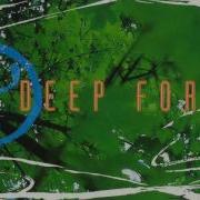 Deep Forest