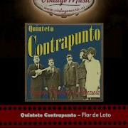 Quinteto Contrapunto Flor De Loto