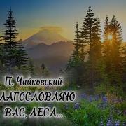 Минус Благословляю Вас Леса