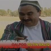 Qalpoq Oltin Baliq Калпок Олтин Балик Hajviy Ko Rsatuv