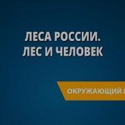 Лес И Человек 4 Класс Окружающий Мир