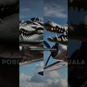 Я Хочу Чтоб Ты Сказала Tralalero Tralaala