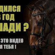 Гороскоп Рождённых В Год Лошади