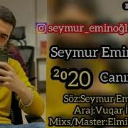 Seymur Eminoglu 2020