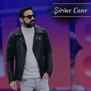 Hozan Mesut Şirine Cane