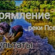 Непроходимая Чаща 3