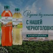 Реклама Черноголовка 2024