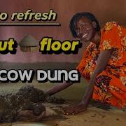 Cow Dung