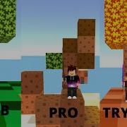 Roblox Skywars Noob Vs Pro