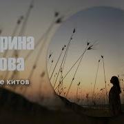 Катя Ершова Молчание Китов