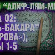 Сура Алиф Лам Мим