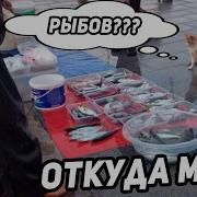 Рыбов Продаете