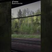Затуманила Глаза Погода Злая
