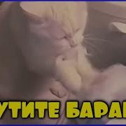 Вращайте Барабан Прикол