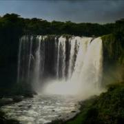 Cocogroove Forgotten Jungle Swazi Mix