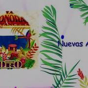 La Sonora Matancera Nuevas Ansias With La Sonora Matancera