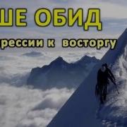 Выше Обид От Разочарования К Восторгу