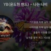 Yb 윤도현밴드 나는 나비