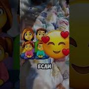 В Мире Животных Прикол О Работе