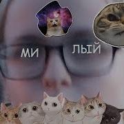 Мвипд Какой Же Я Милый Данкар Кавер