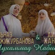 Мухаммад Набина Ты Любимец Мира