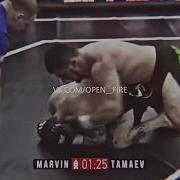Асхаб Тамаев Vs Филипп Марвин Open Fire