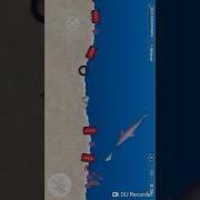 Осьминог Ест Весь Мусор С Моря