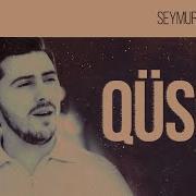 Seymur Məmədov Qusur