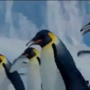 The Penguin Song Happy Birthday