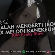 Dj Cobalah Mengerti Slow Viral Tiktok Instrument