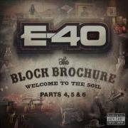 E 40 Bamboo