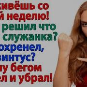 Жизненные Рассказы