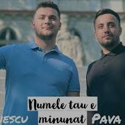 Denis Dinescu Pava Dinescu Noi Te Asteptam 2019 Nou