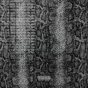 Death Wav Snakeskin Oil Freestyle