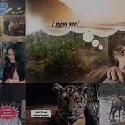 Speech Bubbles After Effects Project Files Videohive 12709114